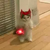 auroratbag