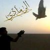 arar67076