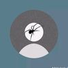 pican_33