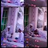 arsini073