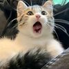 cswnto7