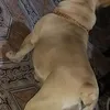 oscar.rodriguez7718