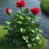 user97943048569030sevgi