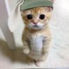 eshkere_76767