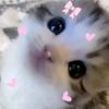 ¡☆!