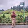 nsya_drgntra