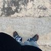 shadyjiff0