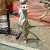 cheese230612