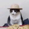 herman.kr_