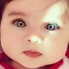 dy8zu8r5dew7