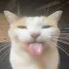 i_like_eating_bread3