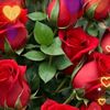 carlosaguilar1371