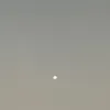 nine_nine20