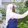 hadija.muiesi
