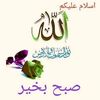 jamal.ahmed276
