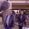wayilamulazulumedia09