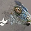 kjmabbott