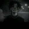 vaninou54