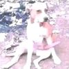 gatosy_02