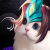 cat_edit16