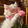 bestfriendlover23