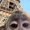 .hello_123345