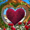 user1300347535360