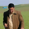 hmodmirani2