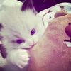 sug4rydarlin._