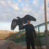 shokh_lim