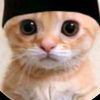 udhtobat1