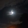 mars_ar99
