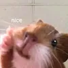 chuotnice123