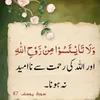 user8100251881964