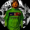 h_hmo_2011