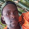 musokealeks