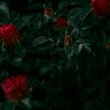 soujoud_48
