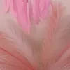 faunaiflora0