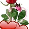 user7997230826819