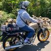 ferdy_ar14