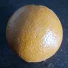 ududufjhjf