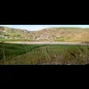hamzahasan12333