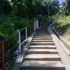 mamun88887