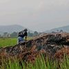 edykurniawan453