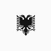dominik_shipe