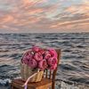 sara_a7med235