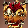 zahras4453