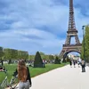 lilly_lys4