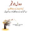 malik.zohaib19