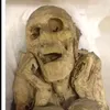 navogordo3000